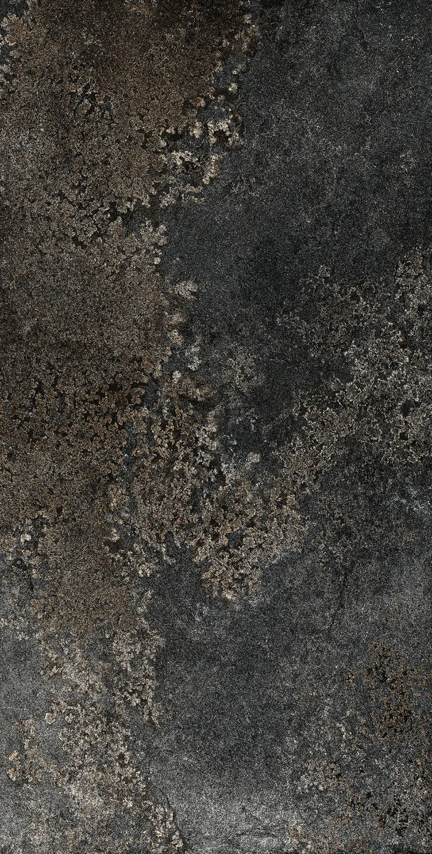 face 31